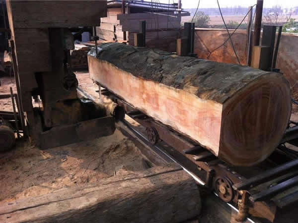 Raw Materials