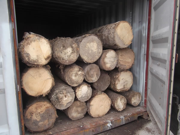 Raw Materials