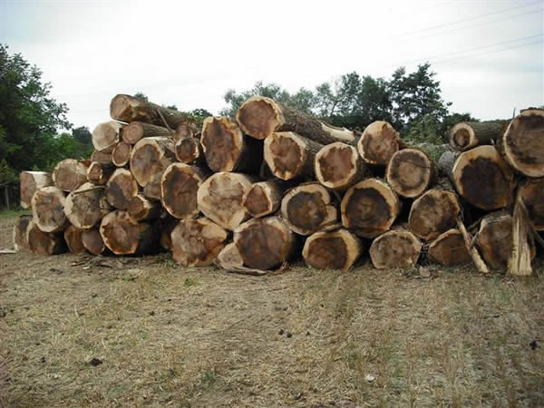 Raw Materials